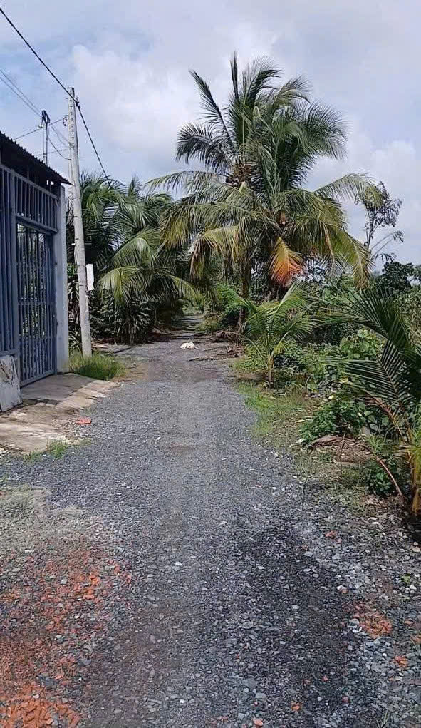 Bán đất vườn , đường xe hơi tới đất xã Lương Hòa dt 500m2 giá 700 triệu 2