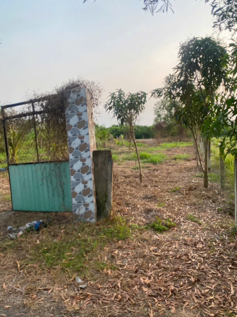 Bán đất vườn , đường xe hơi tới đất xã Lương Hòa dt 500m2 giá 700 triệu 5