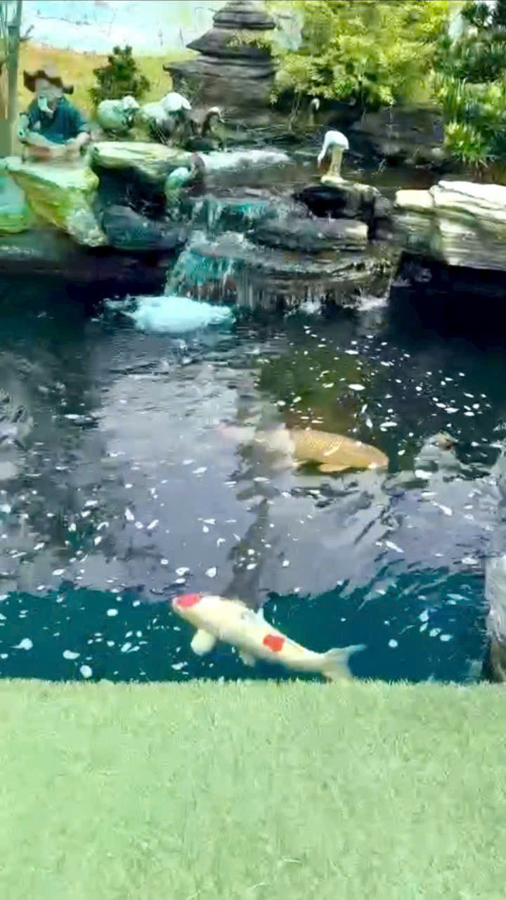 Bán nhà vườn xã Trung Lập Thượng có nhà gỗ mái ngói, hồ cá , thủy tạ.........tdt 3000m2 giá 9,5 tỷ 5