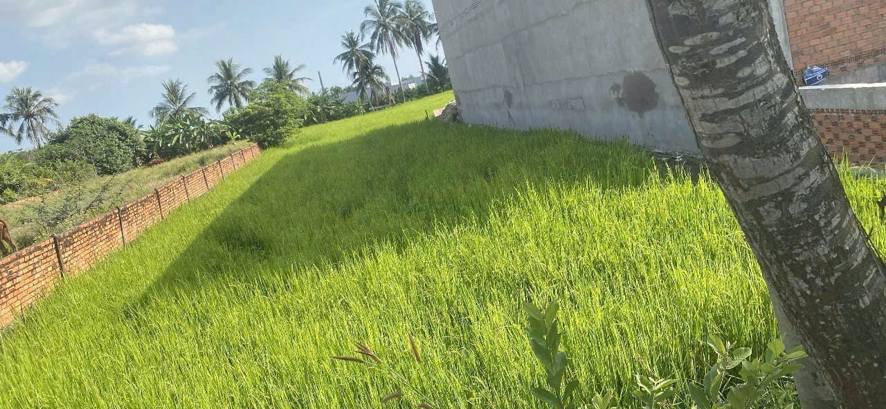 Bán đất mặt tiền đường nhựa ấp 10, Lương Hòa dt 1008m2 (250m2 thổ ) giá 6 tỷ 2