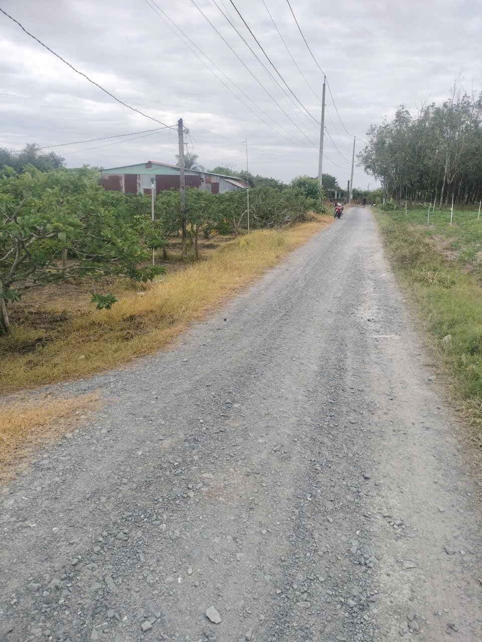 Cần bán đất trong TP Tây Ninh giá 9.6 tỷ 2