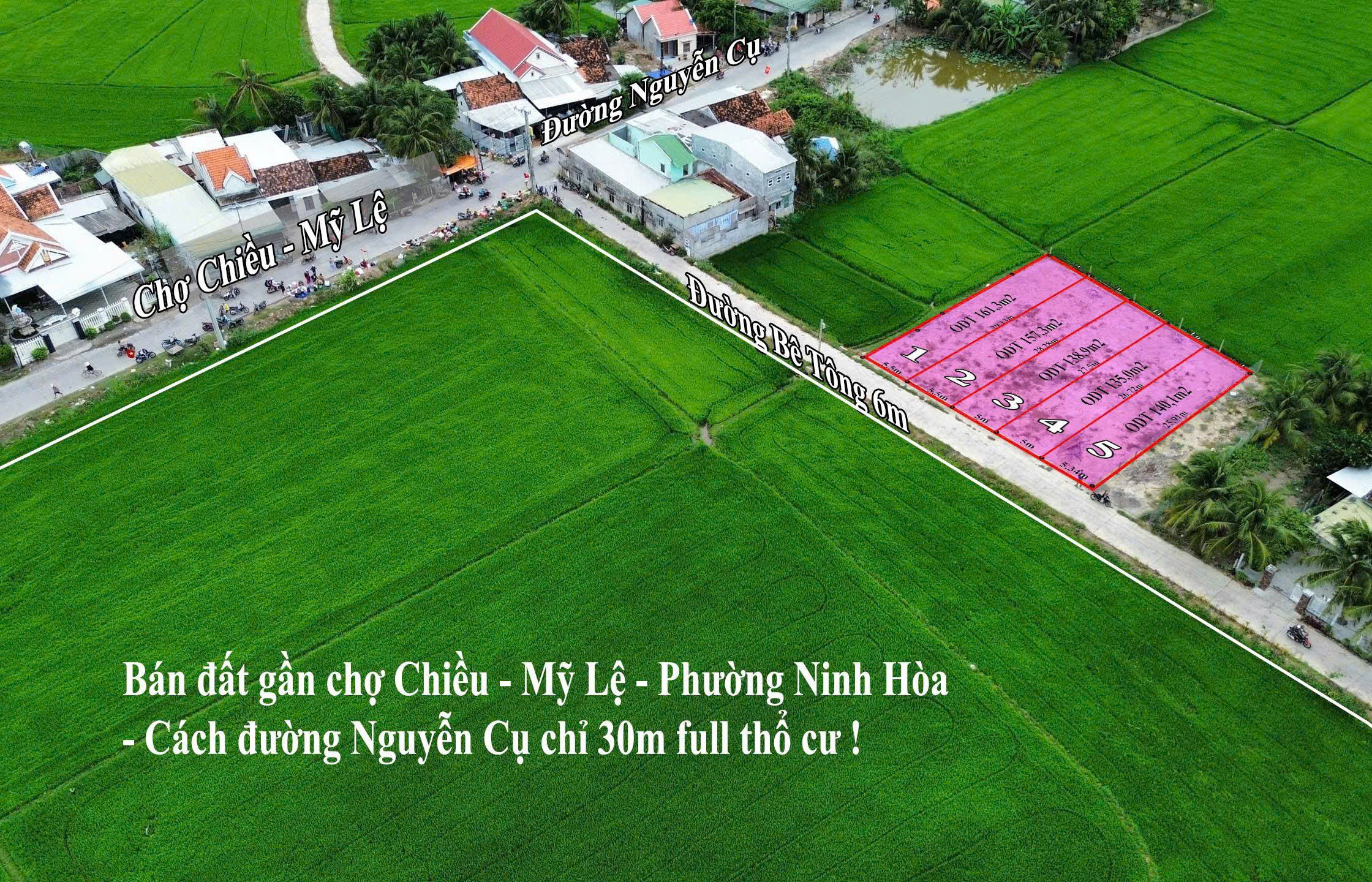 Cần bán Đất Phường Ninh Đa, Ninh Hòa, Diện tích 135m², Giá 810 Triệu 4