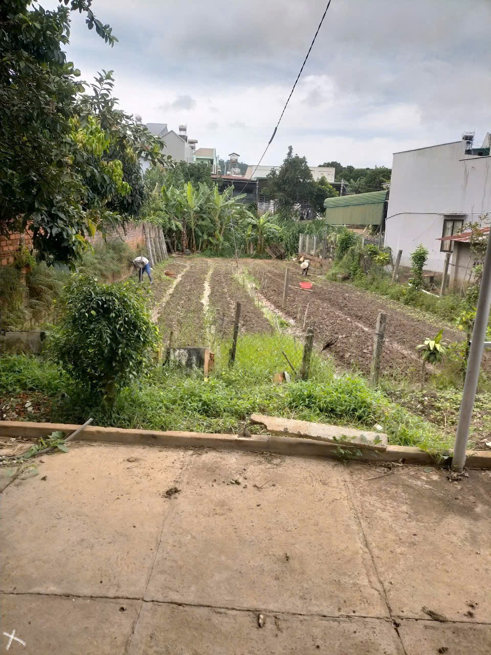 Bán nhà vườn 457m2 Phi nôm - hiệp thạnh - Đức Trọng - Lâm Đồng 2,6 tỷ 4