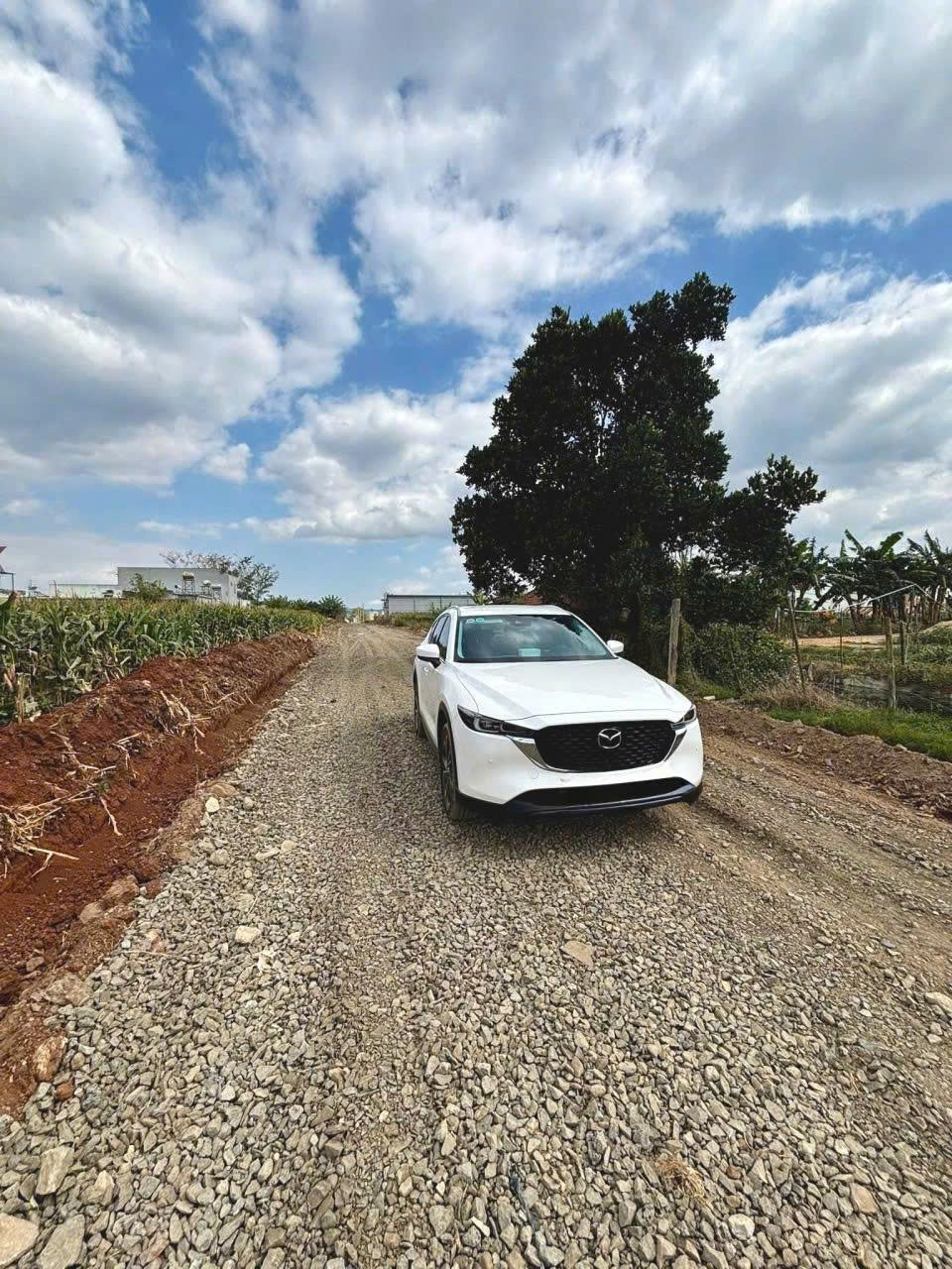 Bán đất 130m2 tổ 34 liên nghĩa - Đức Trọng - Lâm Đồng 1 tỷ 650 triệu 2