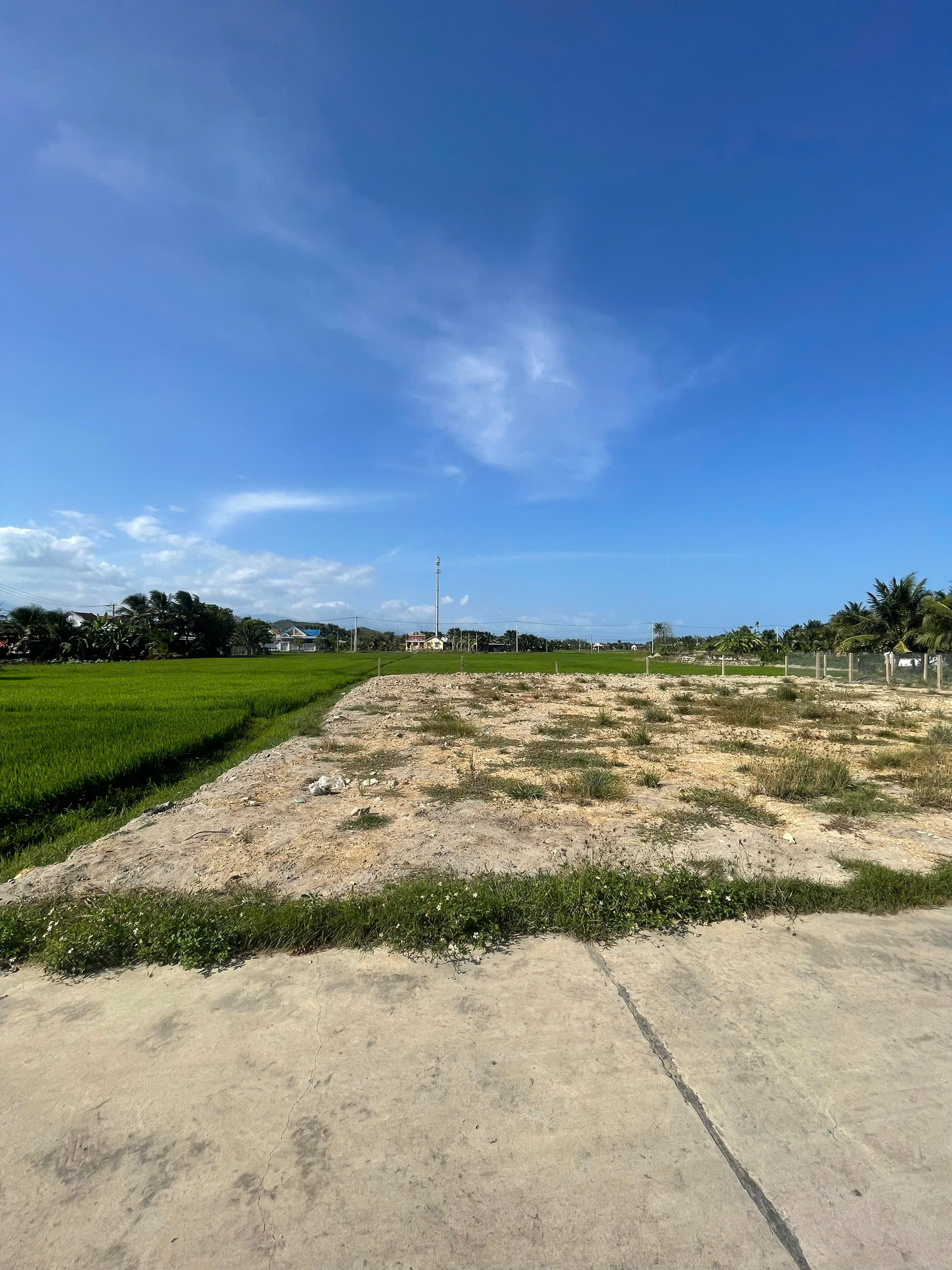 Cần bán Đất Phường Ninh Đa, Ninh Hòa, Diện tích 161m², Giá 966 Triệu