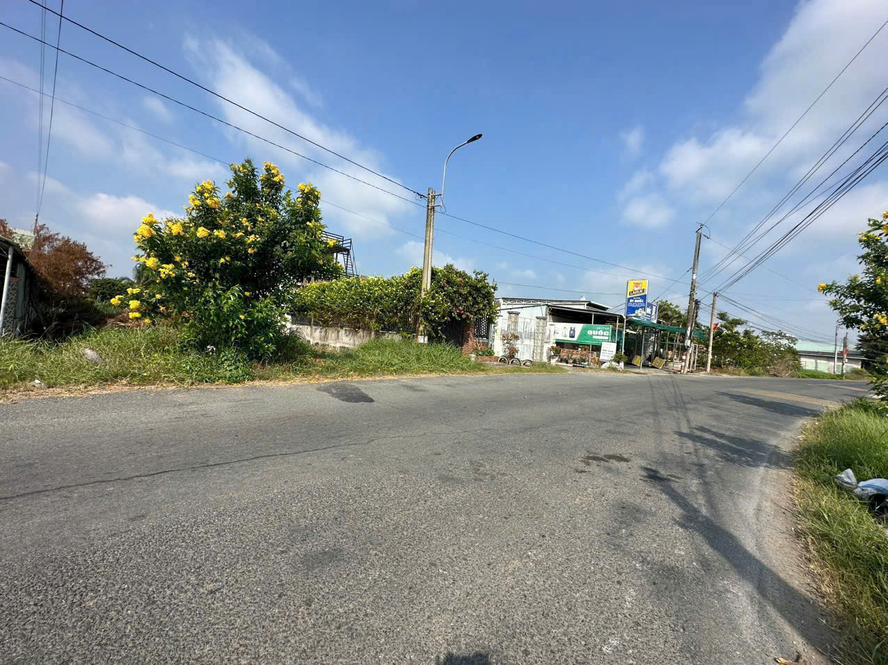 Bán đất mặt tiền Cao Thị Mai, xã Bình Trinh Đông , Tân Trụ dt 195,5m2 full thổ giá 1,468 tỷ 2