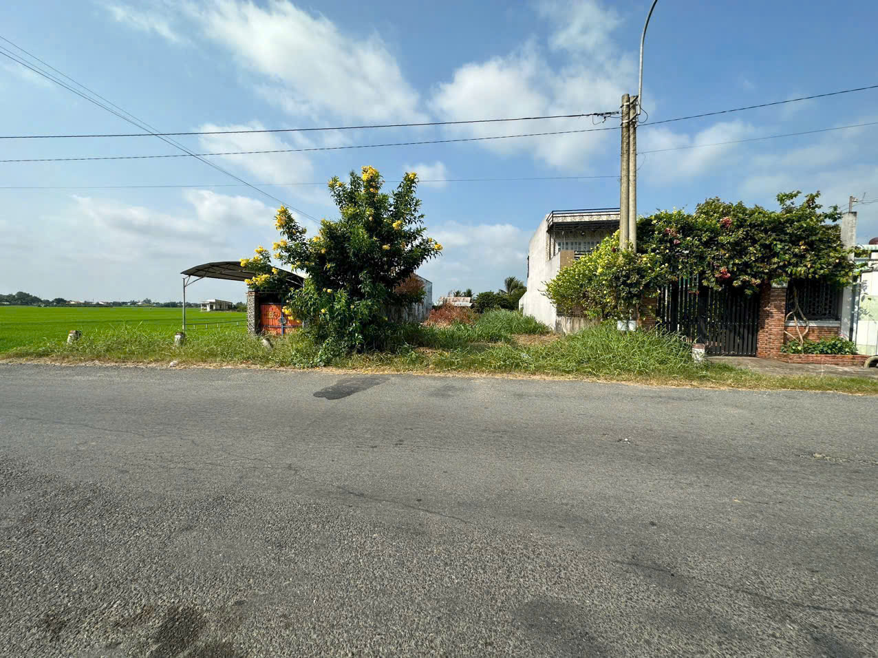 Bán đất mặt tiền Cao Thị Mai, xã Bình Trinh Đông , Tân Trụ dt 195,5m2 full thổ giá 1,468 tỷ 3