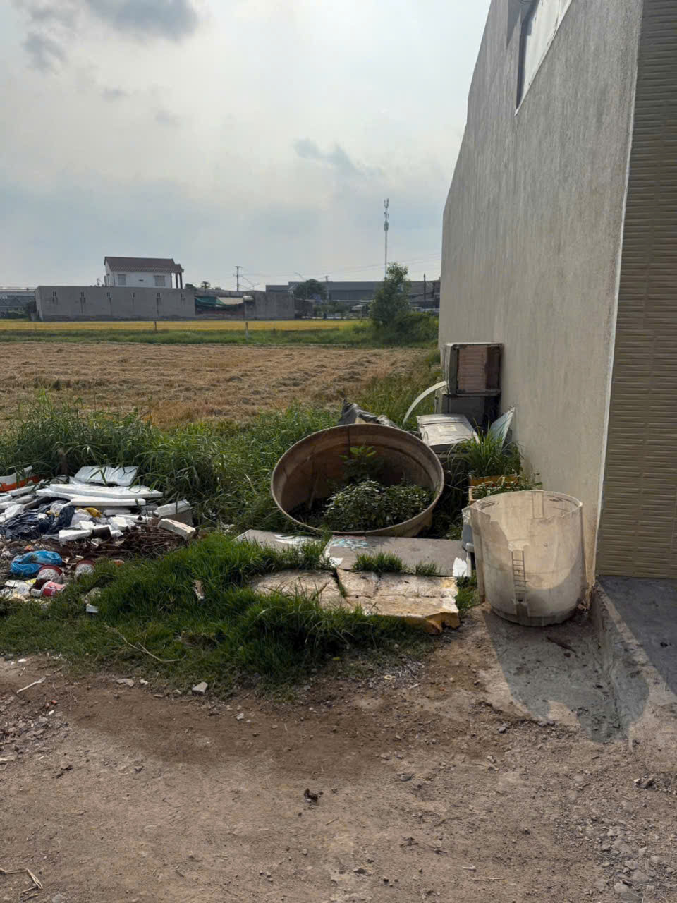 Bán nền thổ cư 1/ 824 Mỹ Hạnh Nam dt 125m2 giá 1,45 tỷ 3