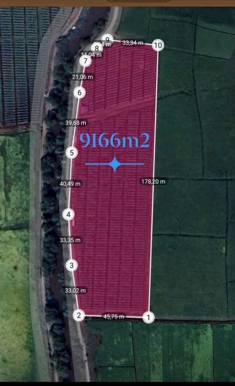 QUỸ ĐẤT LỚN 9.116M² – SÁT VINHOMES 924HA – TÂN THỚI NHÌ, HÓC MÔN