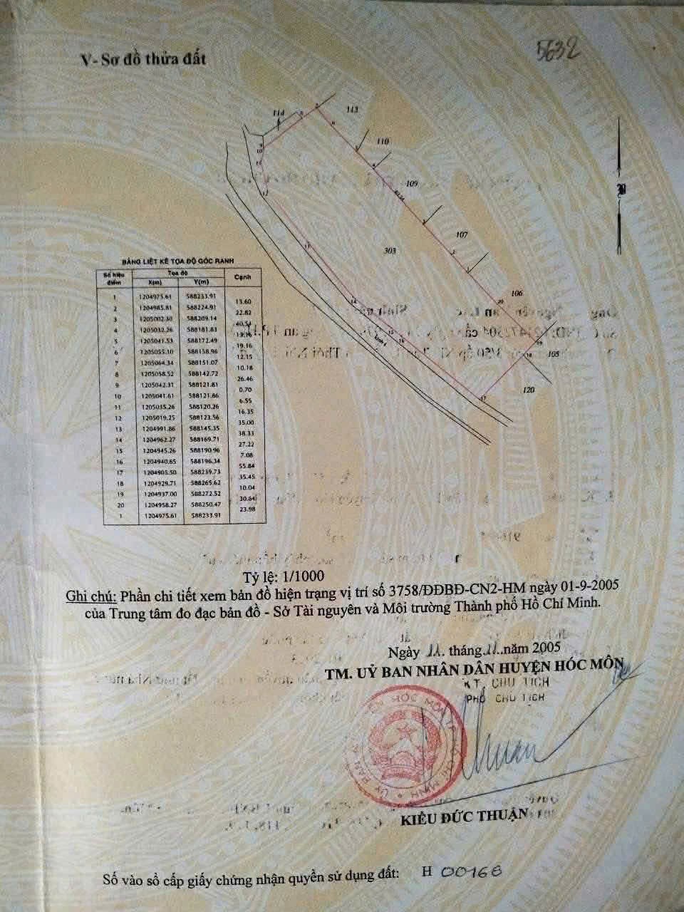 QUỸ ĐẤT LỚN 9.116M² – SÁT VINHOMES 924HA – TÂN THỚI NHÌ, HÓC MÔN 3