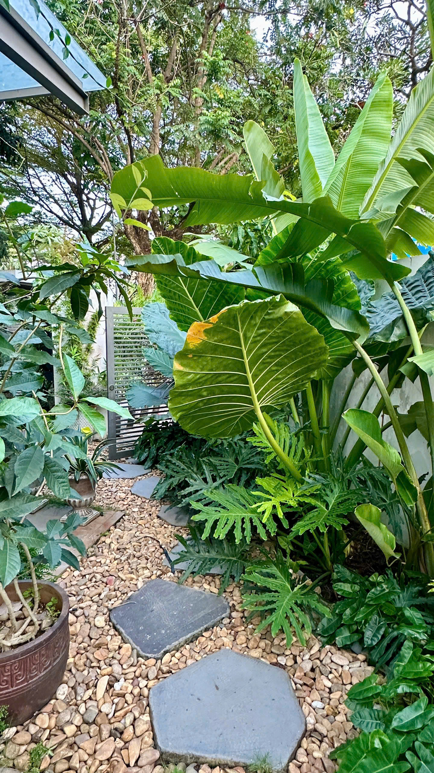 Cho thuê Biệt thự Phường Long Thạnh Mỹ, Quận 9, Diện tích 146m², Giá Thương lượng