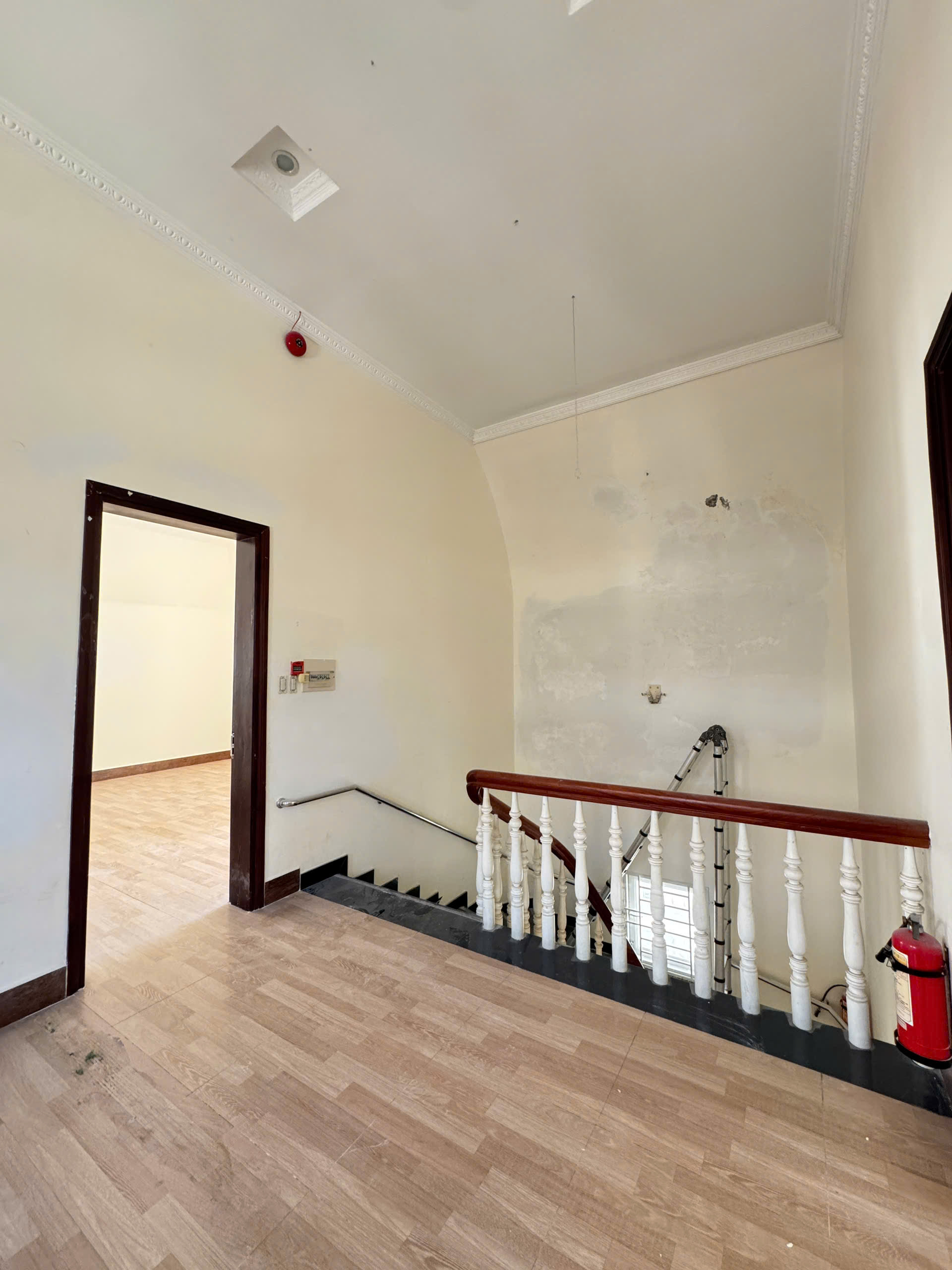 Cho thuê Biệt thự Phường Thảo Điền, Quận 2, Diện tích 315m², Giá Thương lượng