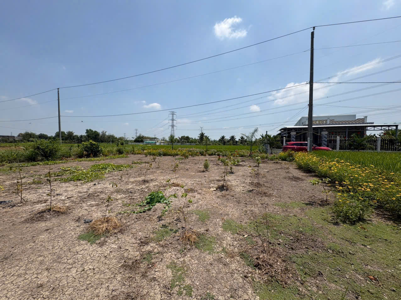 Bán 2 nền thổ cư đường beton xe hơi xã Bình lãng , Tân Tru giá 390tr , 460tr 2