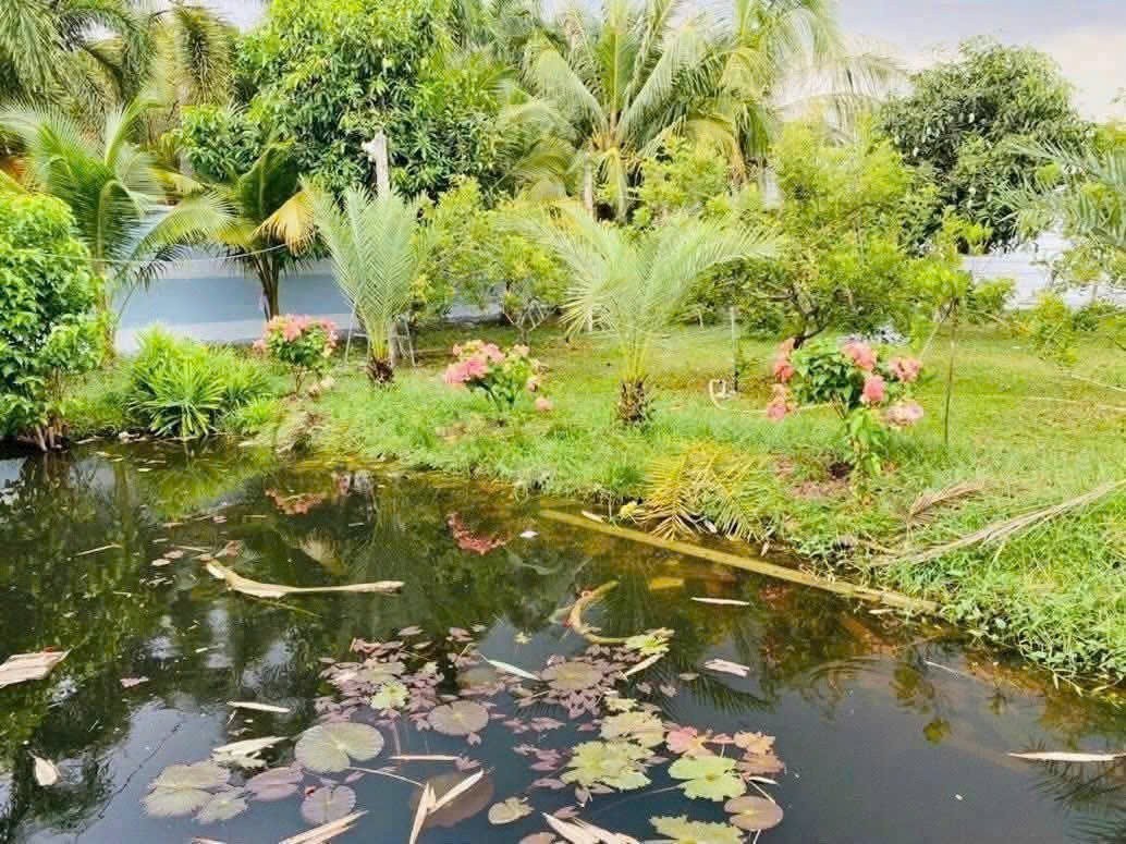 QUỸ ĐẤT LỚN TRUNG ĐÔNG – THỚI TAM THÔN, HÓC MÔN – GIÁ CHỈ TỪ 2.25 TỶ 2