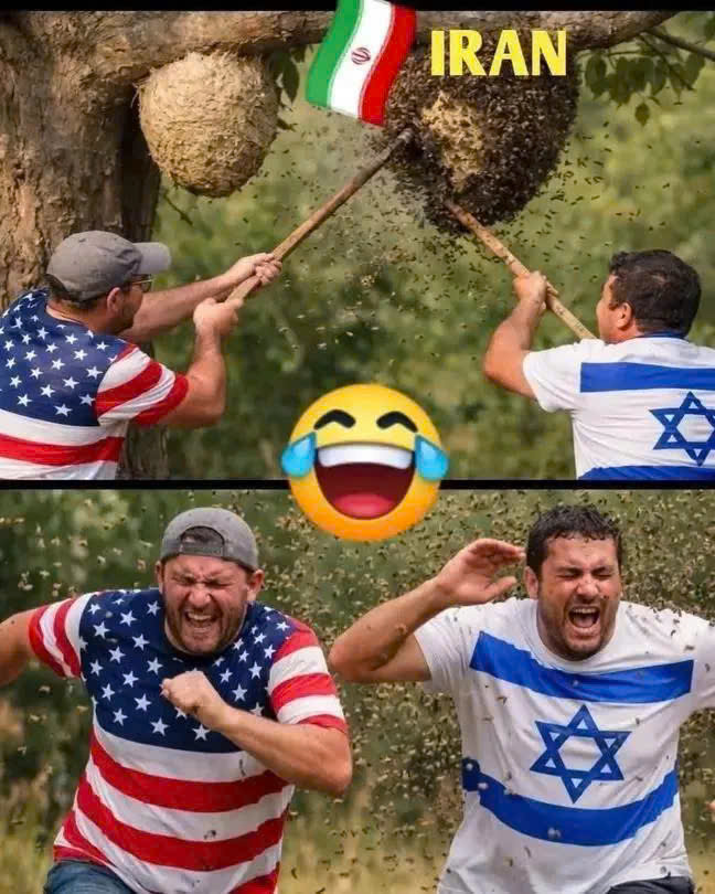 Cần bán Đất Phường Long Bình, Quận 9, Diện tích 52m², Giá 3.2 Tỷ 4