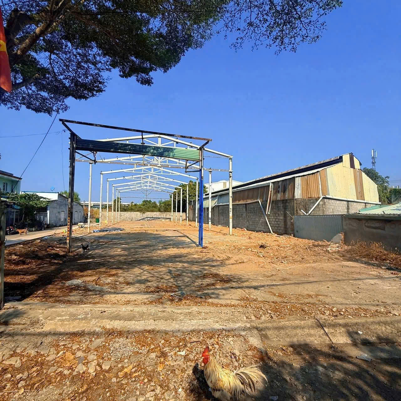 Cần bán Đất Phường Long Bình, Quận 9, Diện tích 52m², Giá 3.2 Tỷ