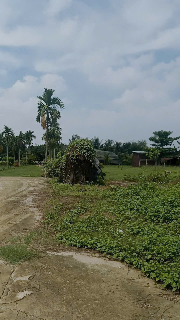 SIÊU PHẨM ĐẤT LỚN CỦ CHI – 1 HECTA CÓ 2.000M² THỔ CƯ – GIÁ CHỈ 27 TỶ 4