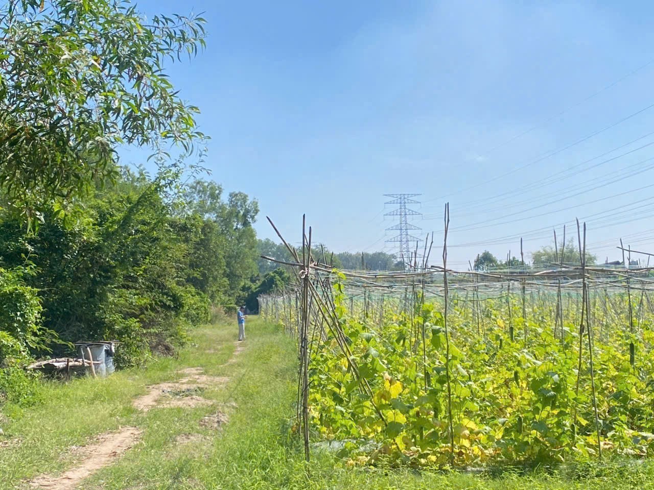 5.000M² NHUẬN ĐỨC – FULL THỔ CƯ – XƯỞNG + 20 PHÒNG TRỌ TẶNG KHÔNG 2