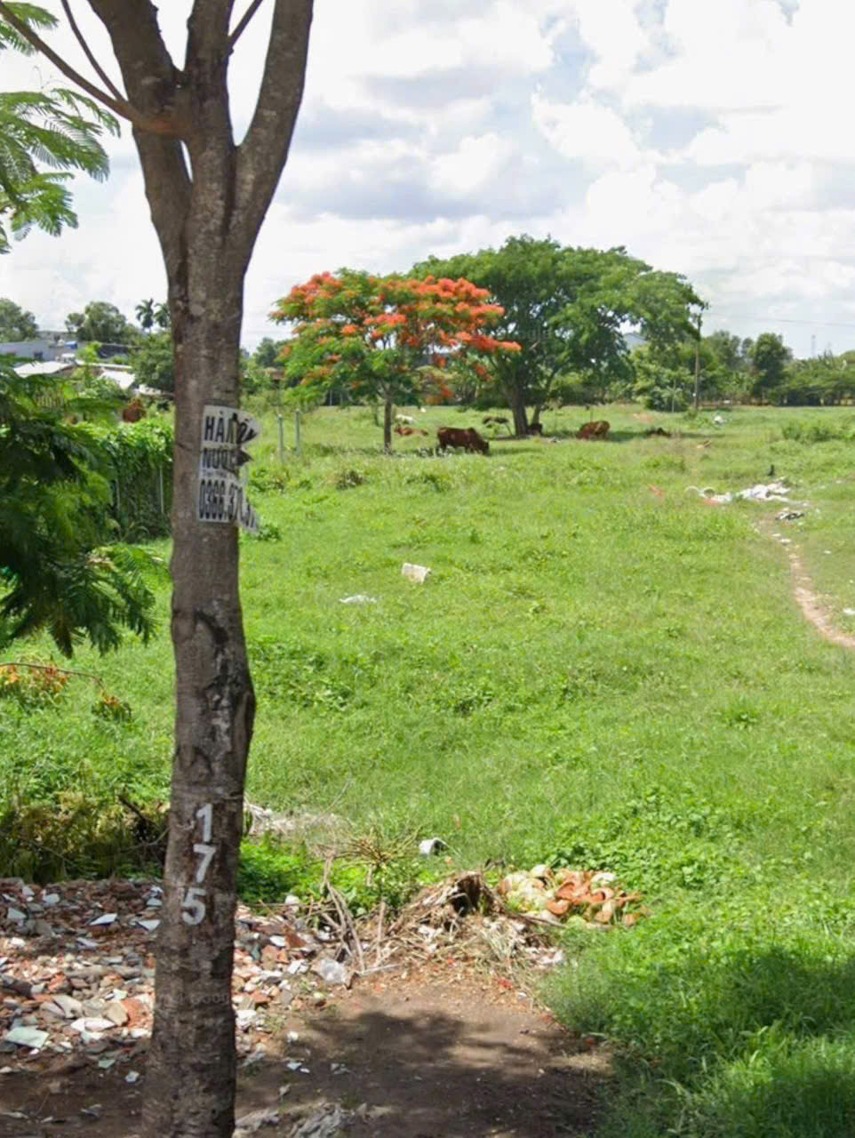 MẶT TIỀN BÀ ĐIỂM 4 – ĐỐI DIỆN TRƯỜNG – QUY HOẠCH MỞ RỘNG 30M 3