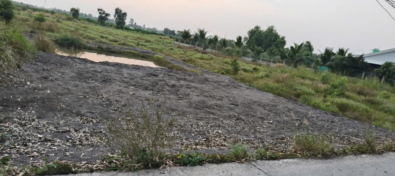 Bán 2 lô đất ấp 10, Lương Hòa dt 1012m2 ( 300m2 thổ) giá 2,2 tỷ , dt 1460m2 ( 300m2 thổ) giá 3 tỷ