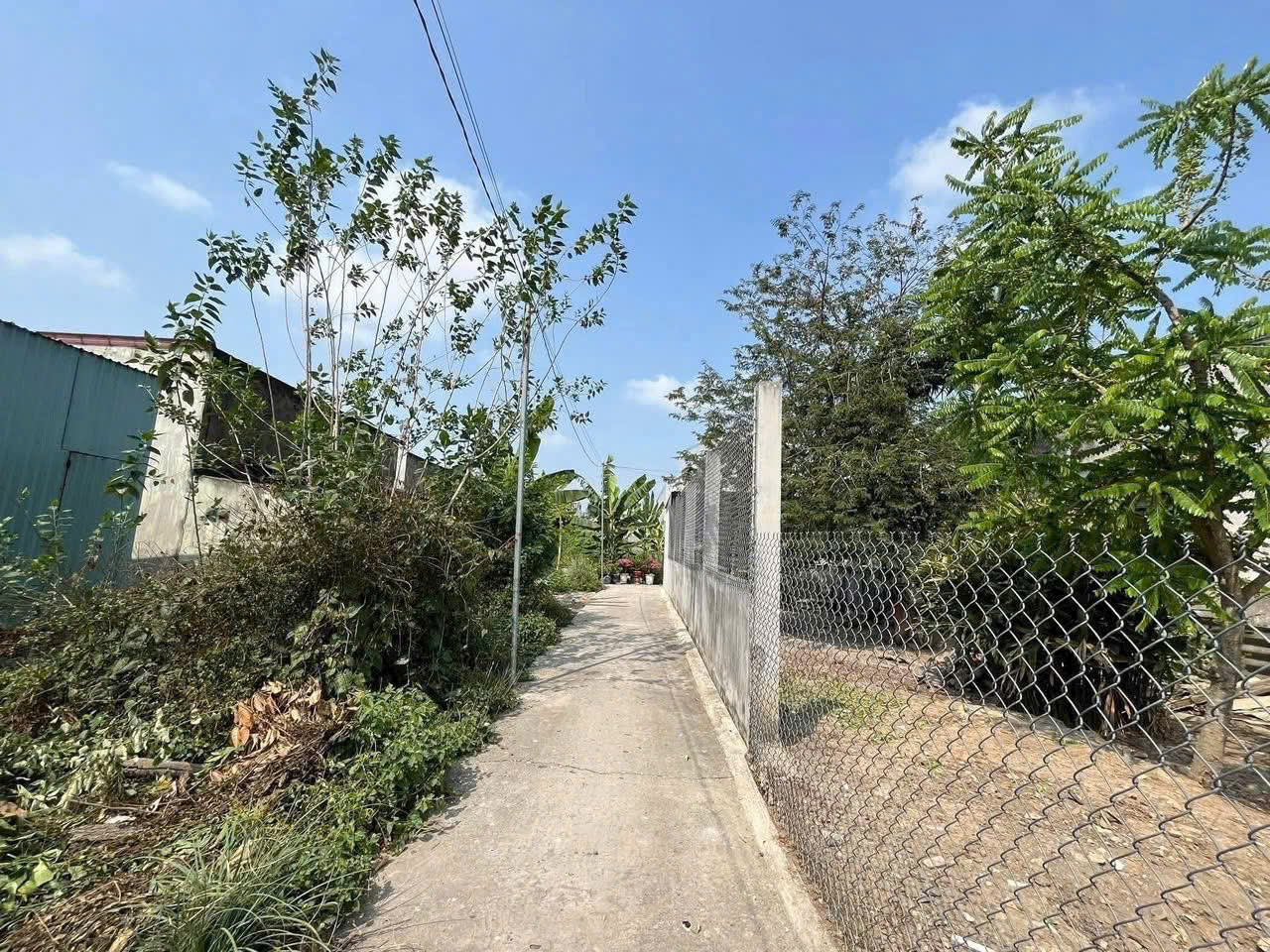 Bán đất thổ cư hẻm số 2 đường Trần Thế Sinh, thị trấn Bến Lức dt 179m2 giá chốt 1,39 tỷ