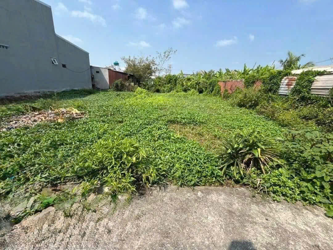 Bán đất thổ cư hẻm số 2 đường Trần Thế Sinh, thị trấn Bến Lức dt 179m2 giá chốt 1,39 tỷ 3