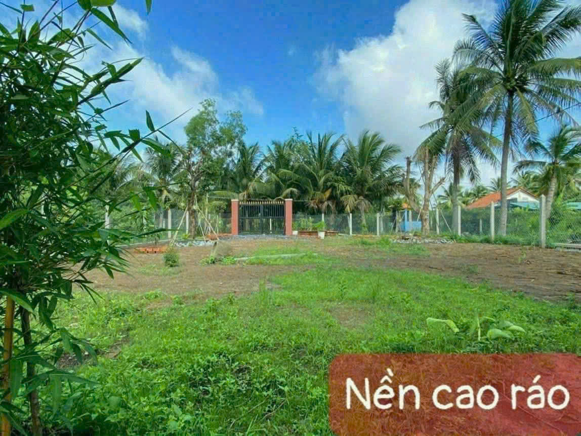 Bán đất 2 mặt tiền An Thạnh, Bến Lức dt 302m2 full thổ giá giảm còn 2,3 tỷ 6