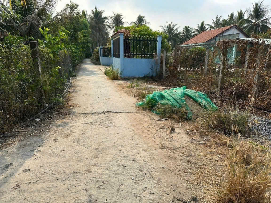 Bán đất 2 mặt tiền An Thạnh, Bến Lức dt 302m2 full thổ giá giảm còn 2,3 tỷ 7