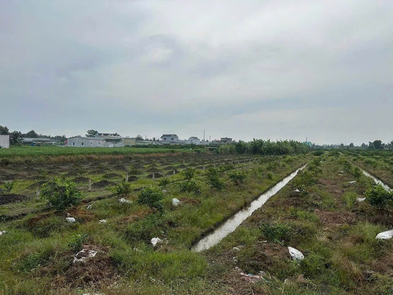 Bán đất vườn xã Bình Đức, Bến Lức dt 4.347m2 khu vực được chuyển thổ giá 7,3 tỷ 4