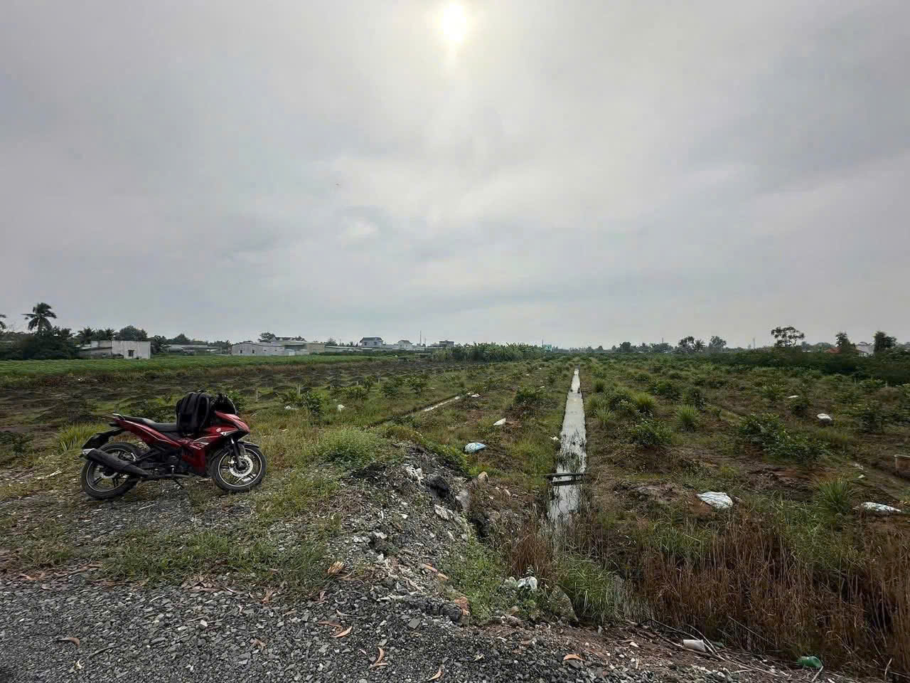 Bán đất vườn xã Bình Đức, Bến Lức dt 4.347m2 khu vực được chuyển thổ giá 7,3 tỷ 5