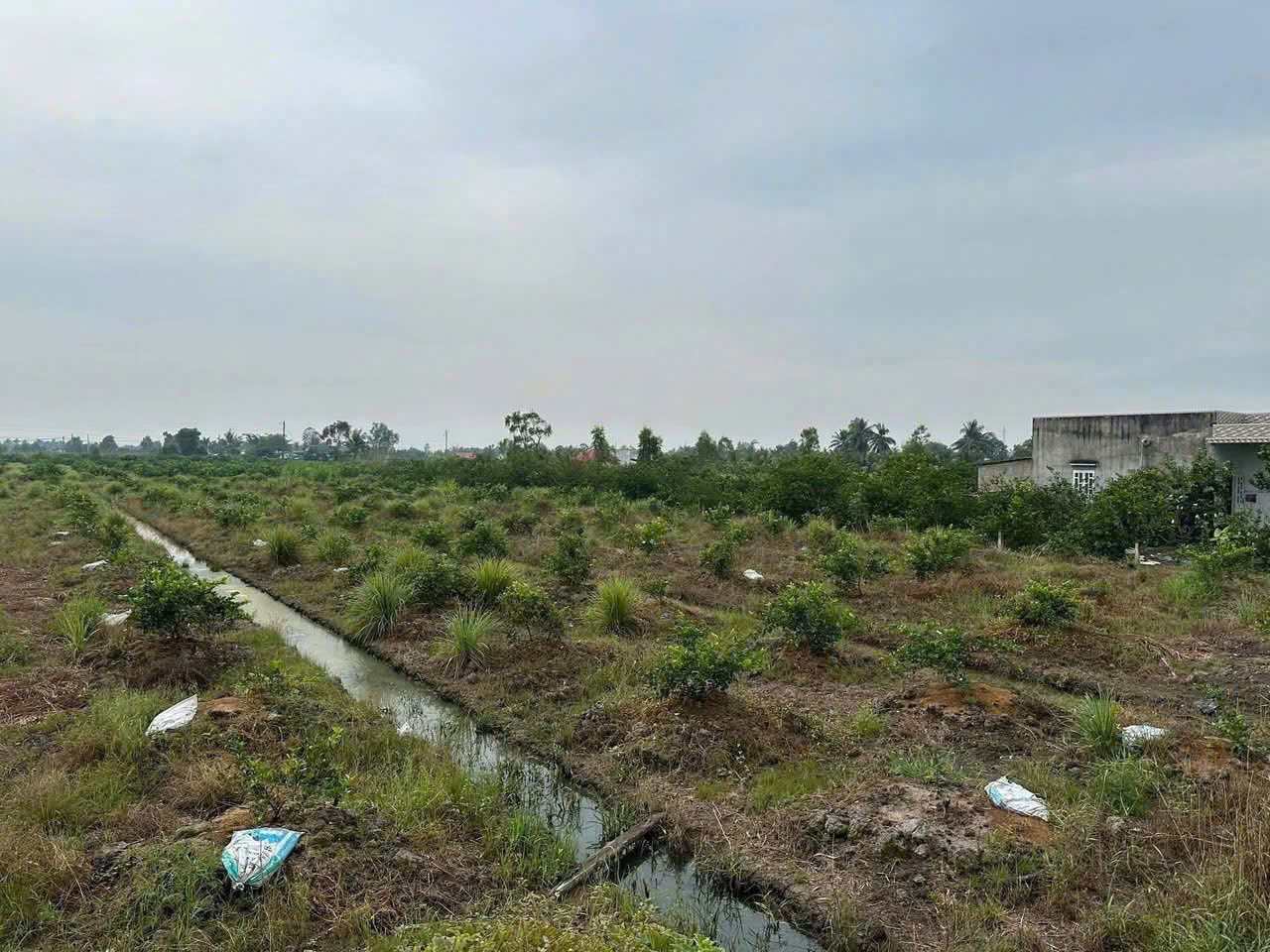 Bán đất vườn xã Bình Đức, Bến Lức dt 4.347m2 khu vực được chuyển thổ giá 7,3 tỷ 6