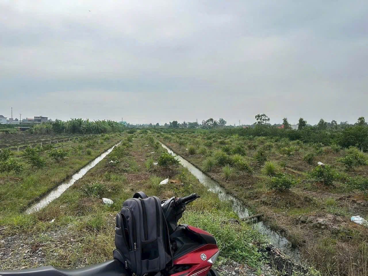 Bán đất vườn xã Bình Đức, Bến Lức dt 4.347m2 khu vực được chuyển thổ giá 7,3 tỷ 7