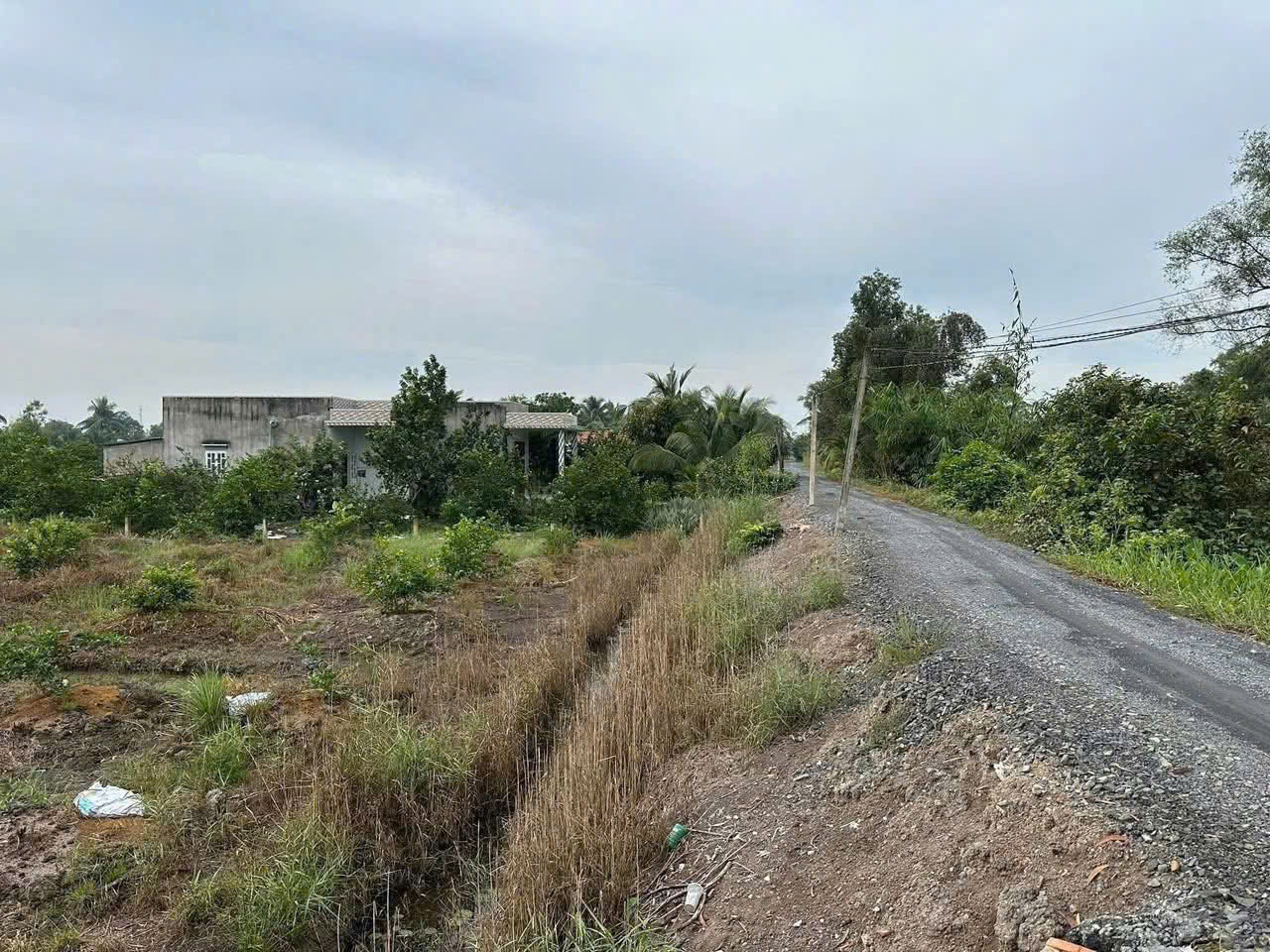 Bán đất vườn xã Bình Đức, Bến Lức dt 4.347m2 khu vực được chuyển thổ giá 7,3 tỷ 8