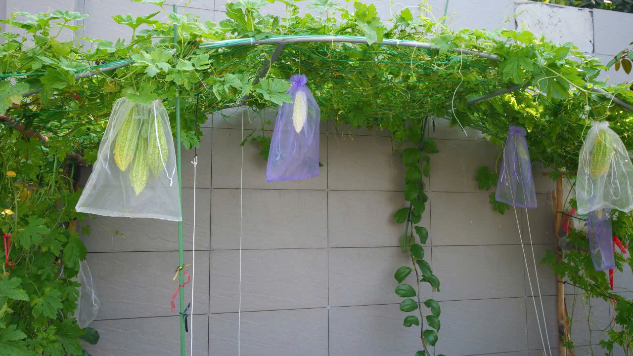 Cho thuê Biệt thự Quận 9, Hồ Chí Minh, Diện tích 1400m², Giá Thương lượng 41