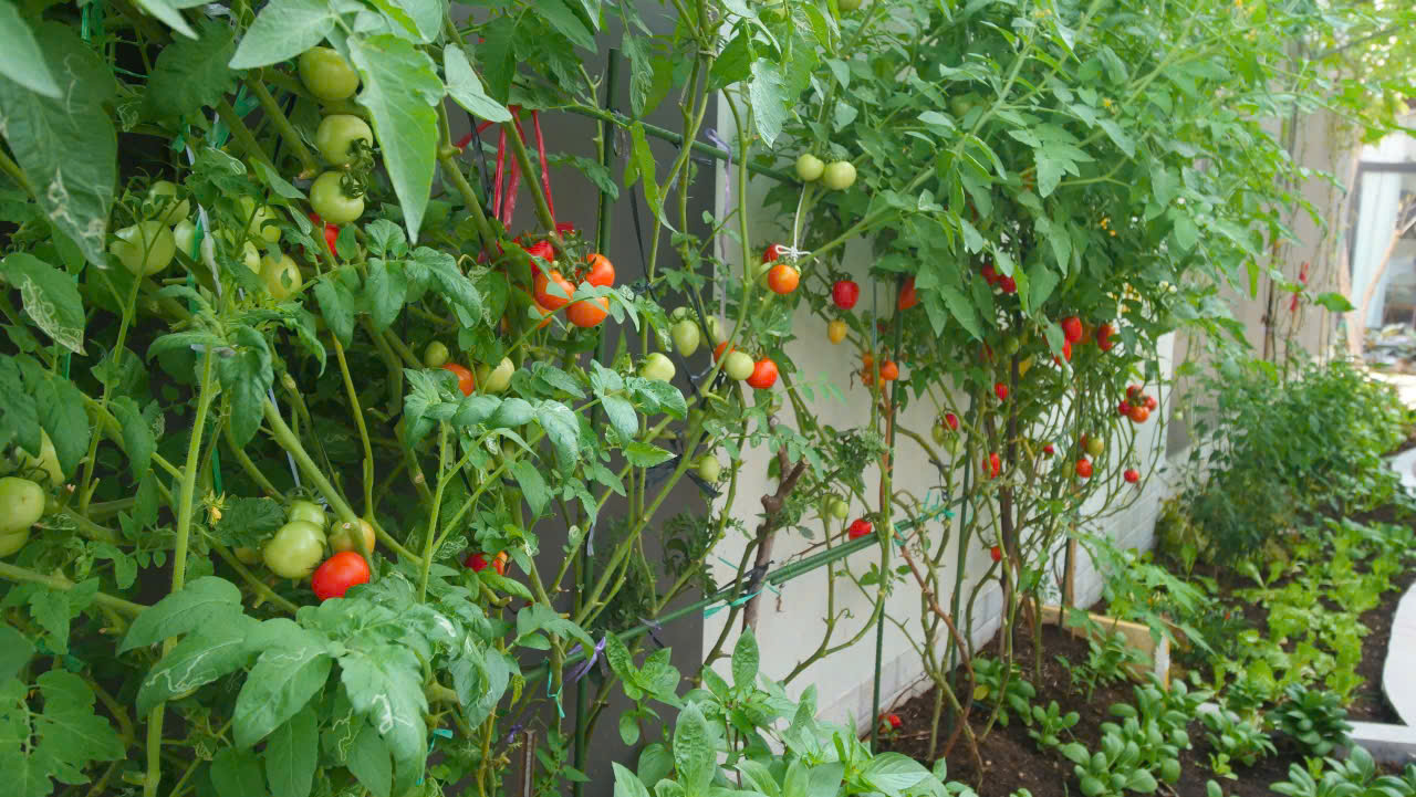 Cho thuê Biệt thự Quận 9, Hồ Chí Minh, Diện tích 1400m², Giá Thương lượng 40