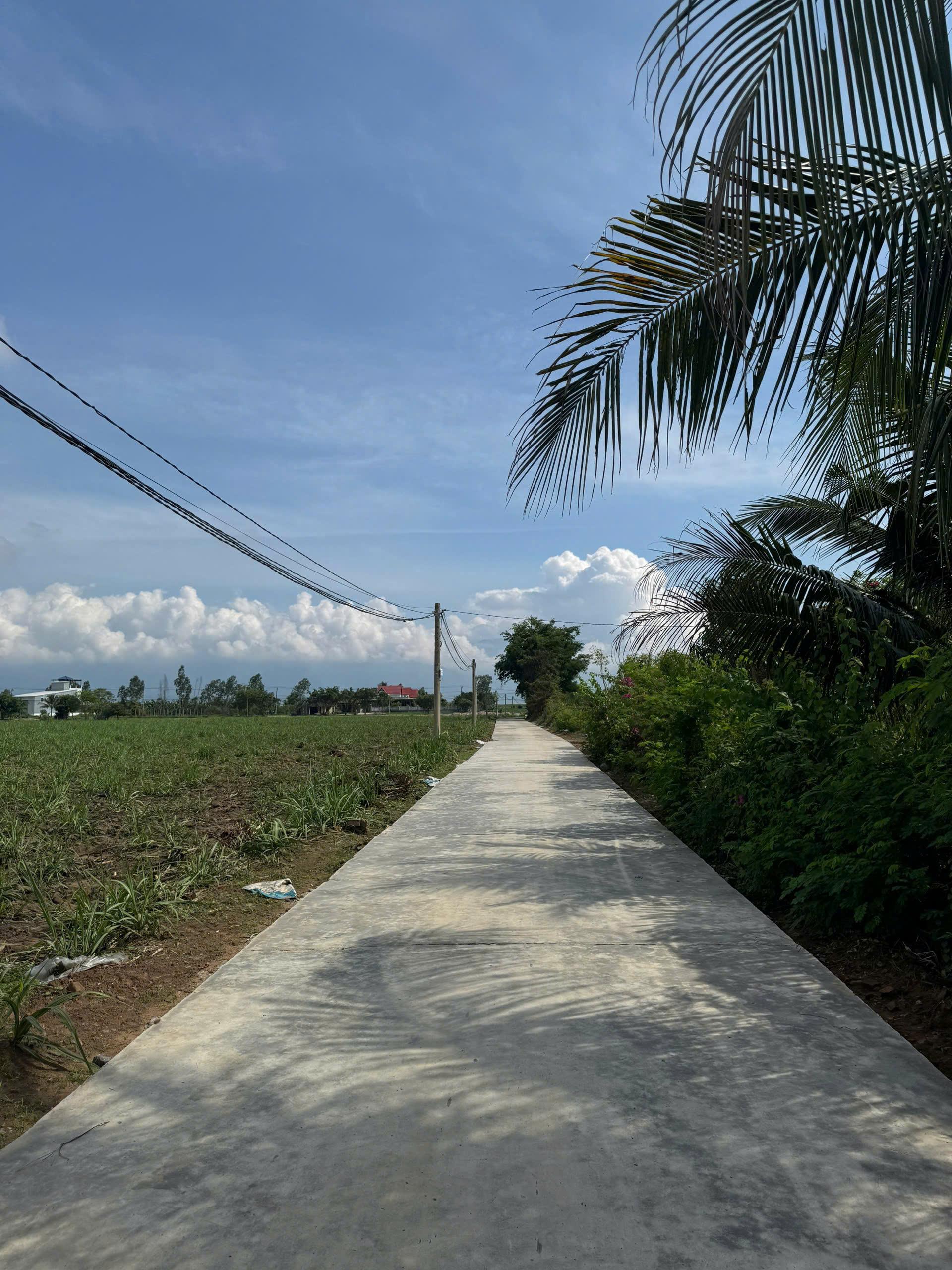 Bán đất TMDV view vị trí cực đẹp  Hồ Suối Trầu xã Tân Định Khánh Hoà 0985451850 3