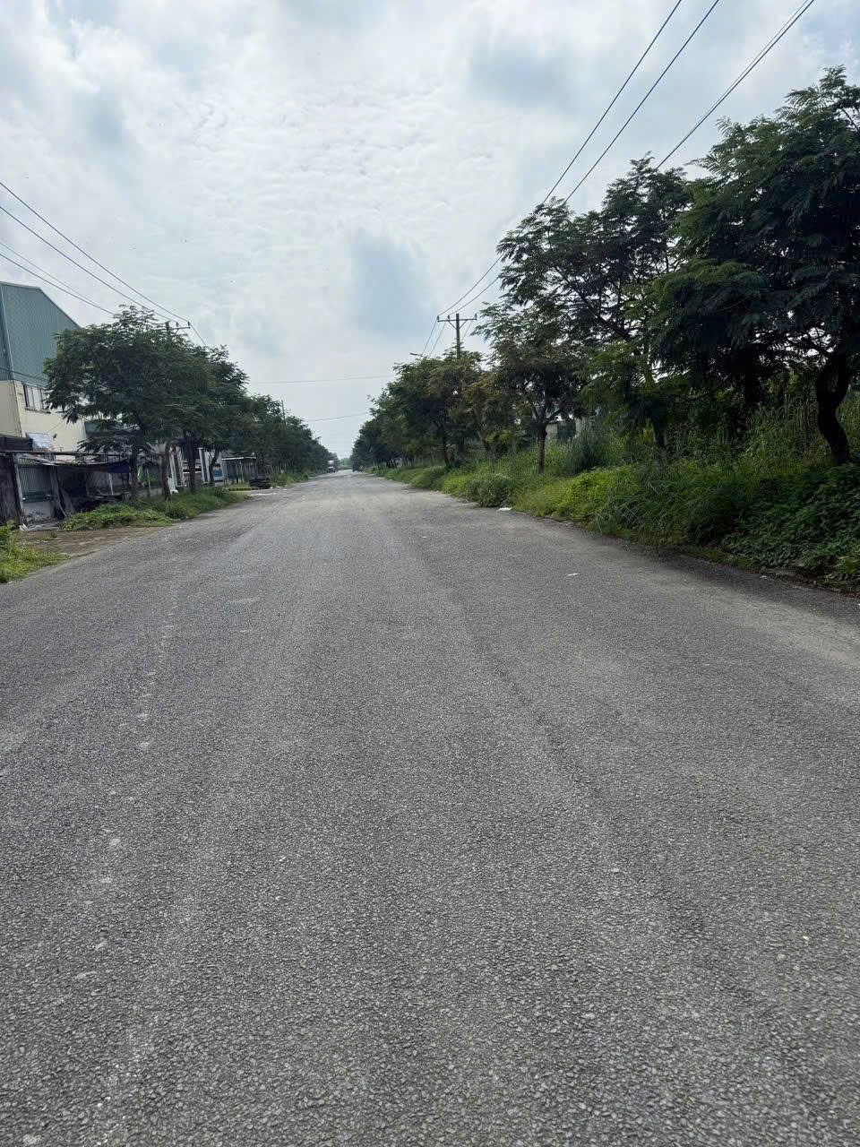 ĐẤT SKC 7.000M² – ĐƯỜNG CONTAINER – XÂY XƯỞNG NGAY TẠI HÓC MÔN 3