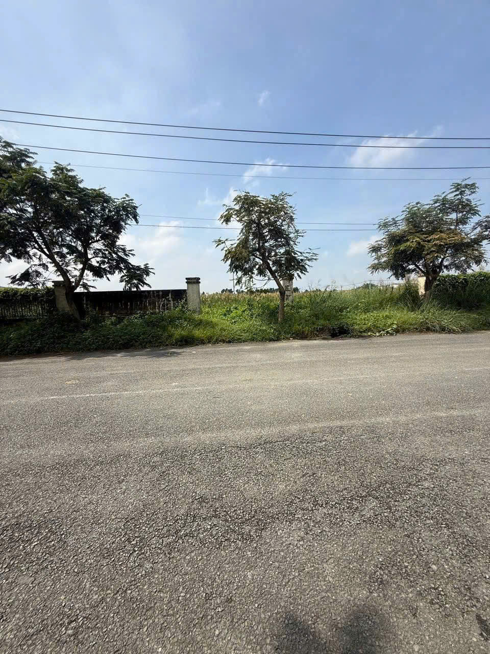 ĐẤT SKC 7.000M² – ĐƯỜNG CONTAINER – XÂY XƯỞNG NGAY TẠI HÓC MÔN 4