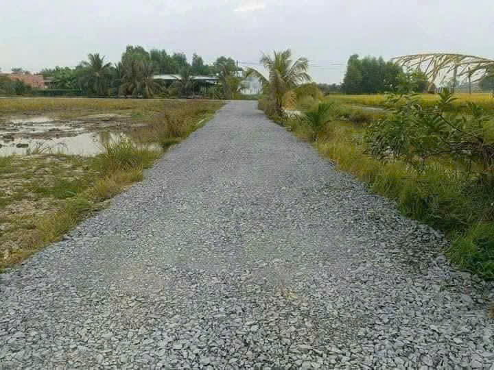 Bán đất view kênh góc 2 mt đường đá xanh 3m Phước Vân , Cần Đước dt 591m2 full thổ giá 2 tỷ 2