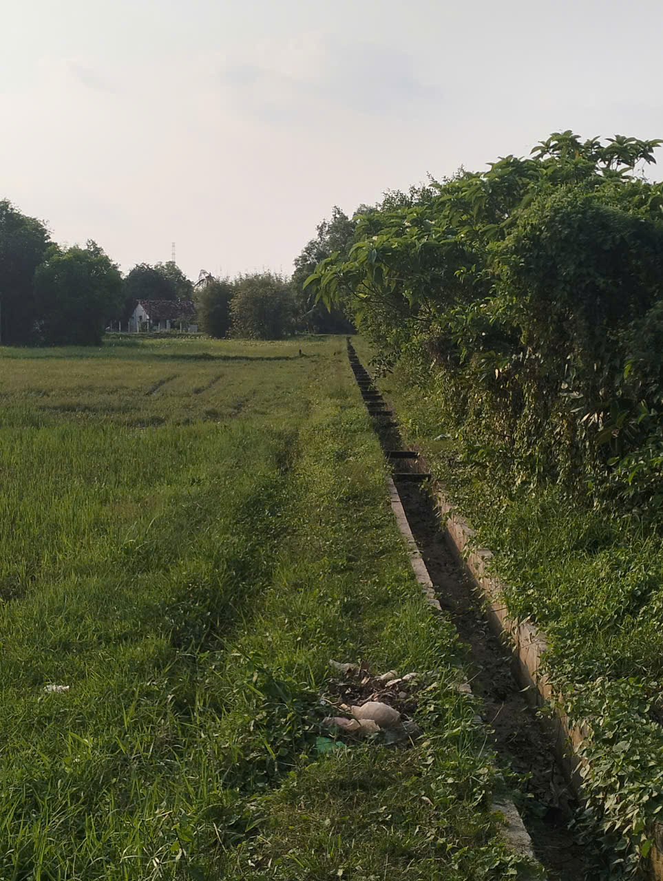 BÁN MIẾNG ĐẤT 5.074M2 - 2 MẶT TIỀN – 5.074M² – CHỈ 17 TỶ TẠI TÂN AN HỘI 3