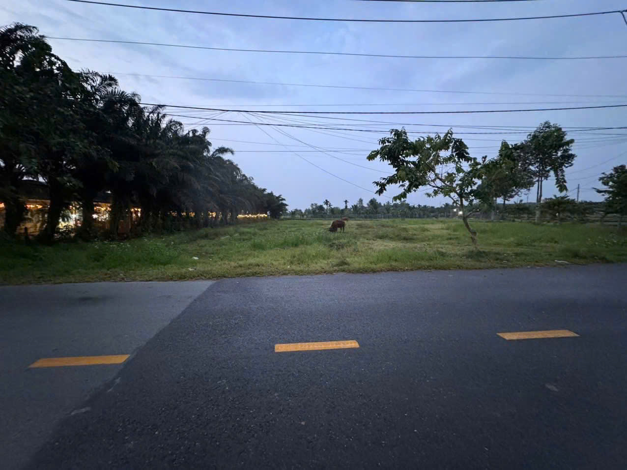 ĐẤT 2 MẶT TIỀN VÕ VĂN ĐIỀU, TRUNG LẬP THƯỢNG, CC – 2.750M² – CHỈ 7,3TR/M² 3