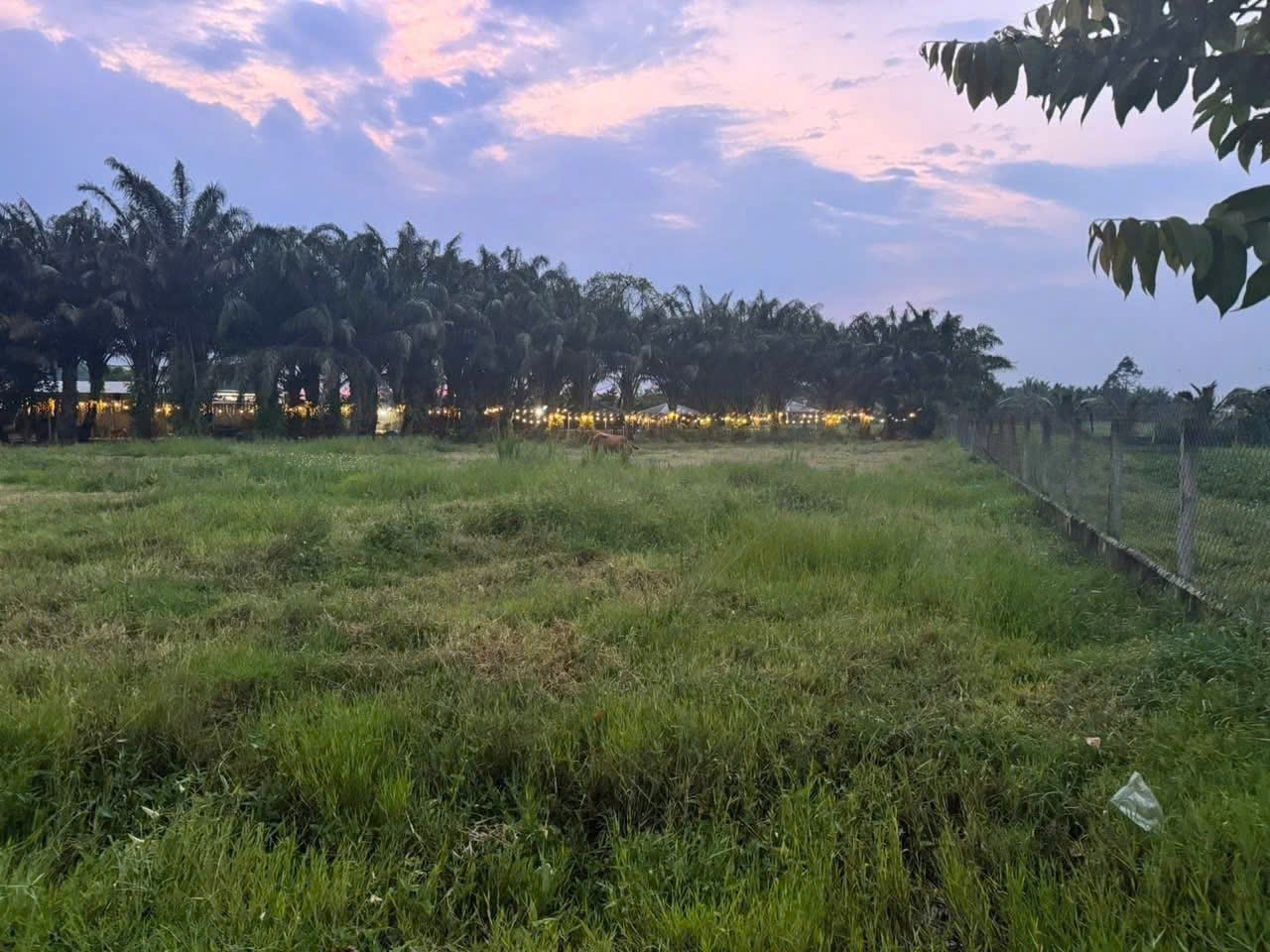 ĐẤT 2 MẶT TIỀN VÕ VĂN ĐIỀU, TRUNG LẬP THƯỢNG, CC – 2.750M² – CHỈ 7,3TR/M² 4