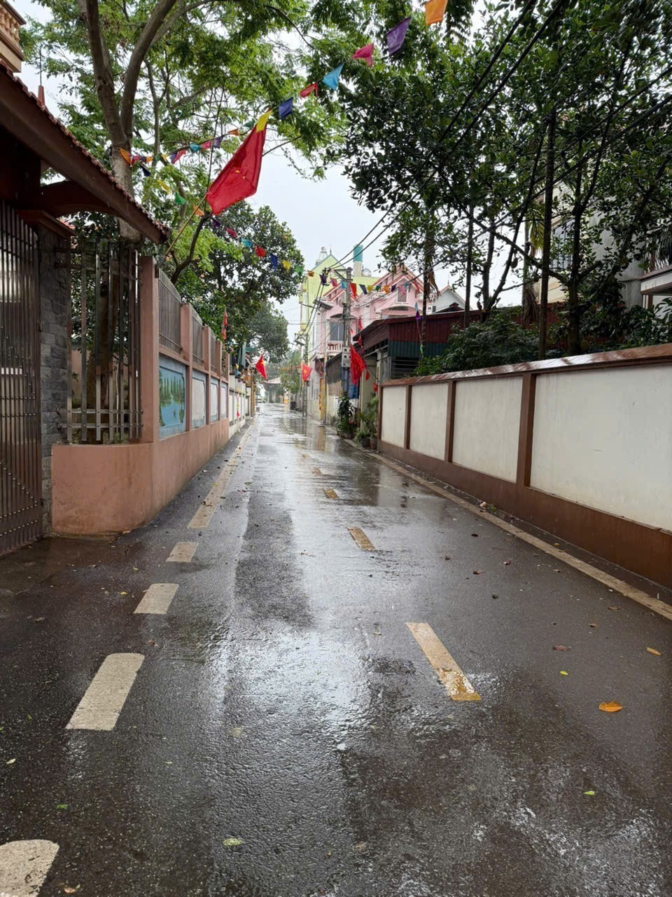 MẢNH ĐẤT 58.1M TẠI TRUNG CHÂU _ LIÊN MINH ( mới ) _ HÀ NỘI. 2