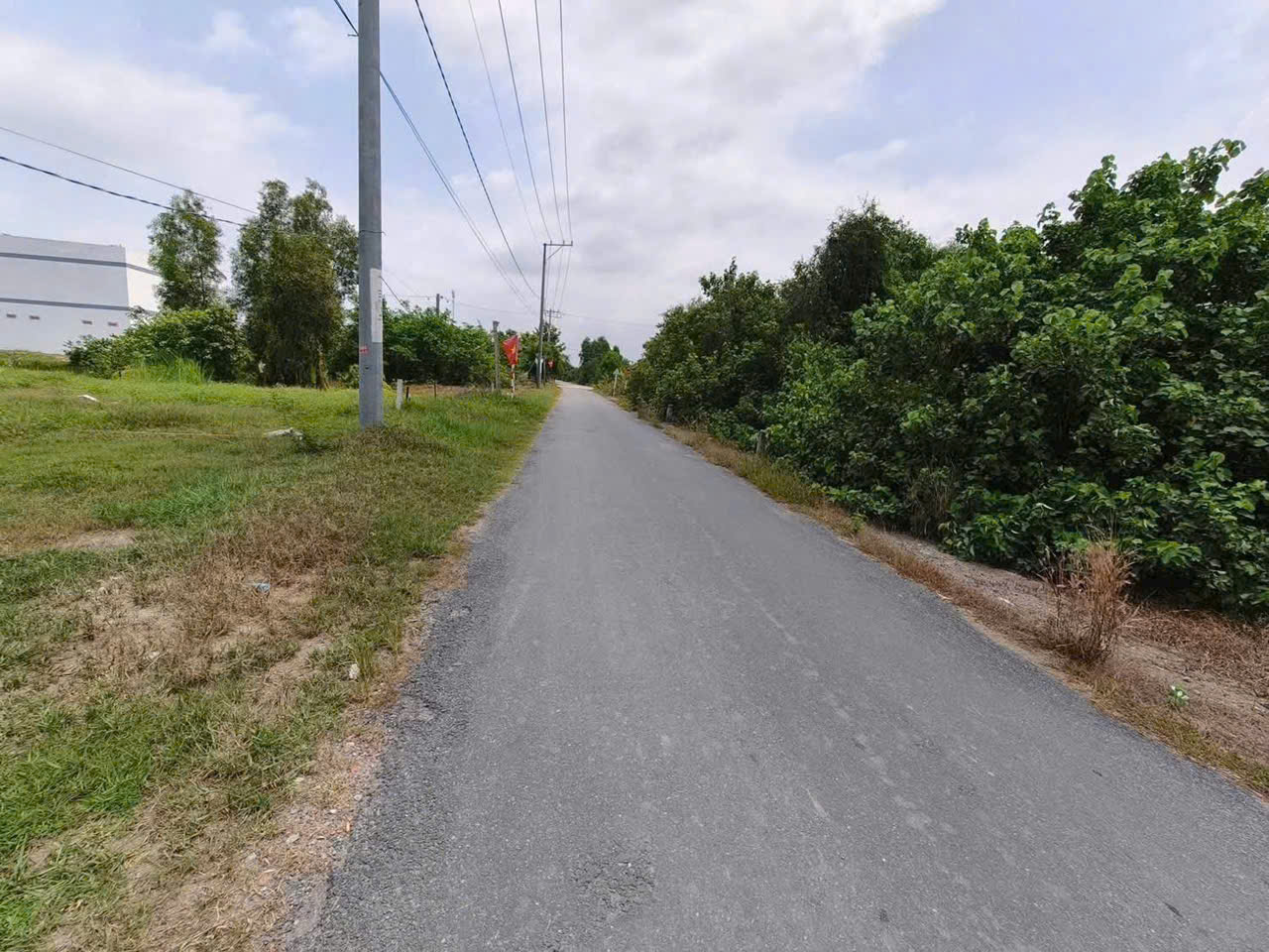 Bán đất mt đường Tân Bửu-Thanh Phú,xã Tân Bửu dt 224m2 (200m2 thổ) giá 3,5 tỷ 3