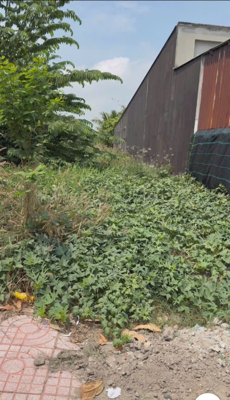 Bán đất mặt tiền đường 3/2 , thị trấn Hậu Nghĩa dt 210m2 giá 4,1 tỷ 3