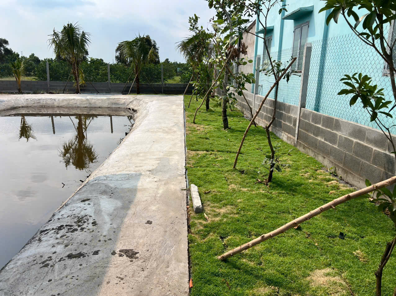 Bán nhà vườn thuỷ tạ xã Bình Đức tdt 709m2 có 2pn,1wc, sân oto giá 1,9 tỷ 6