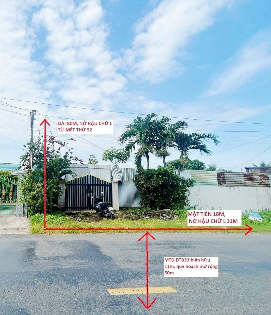 Bán đất tặng nhà cấp 4 hoàn công ĐT 833 tdt 1916m2 ( 300m2 thổ ) Bình Lãng , Tân Trụ giá 6,5 tỷ 5