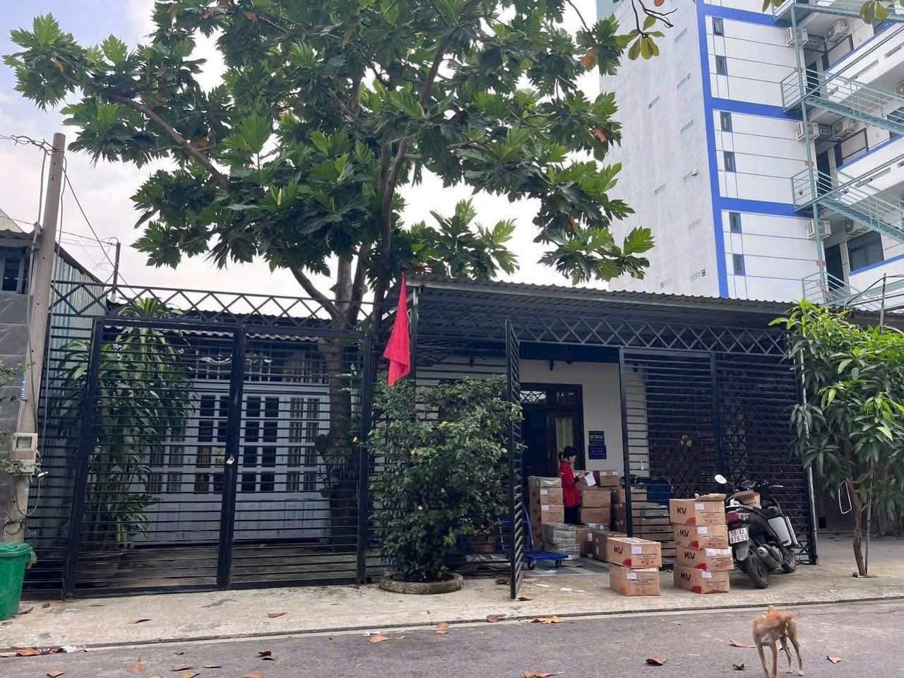 ĐẤT BIỆT THỰ TRẦN THỊ NĂM – NỞ HẬU – TẶNG 2 NHÀ CẤP 4 – CHỈ 12.69 TỶ 4