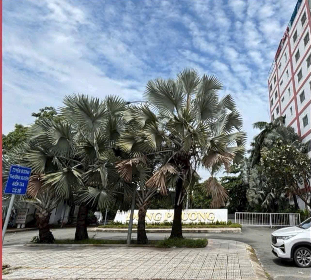 SIÊU QUỸ ĐẤT MT NGUYỄN VĂN QUÁ – 2.631M² FULL THỔ – NGANG 32M NỞ HẬU KHỦNG