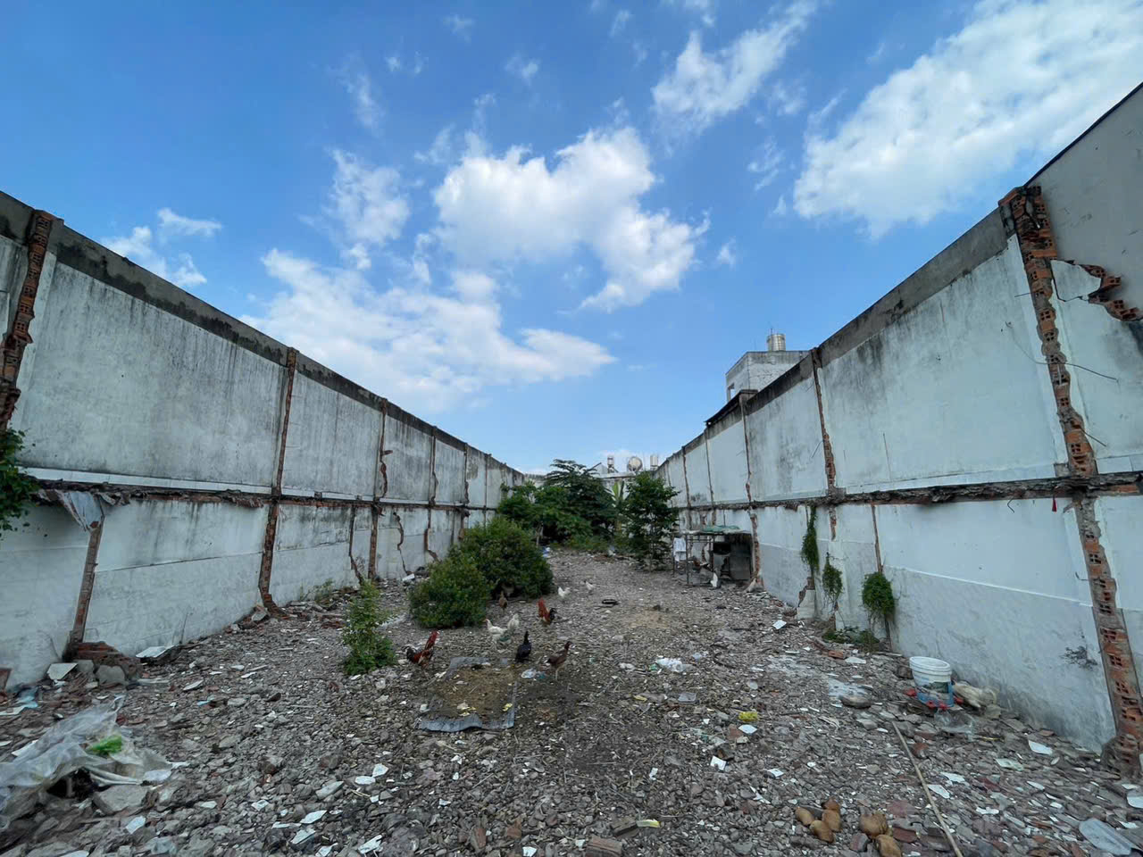 MẶT TIỀN XUÂN THỚI THƯỢNG 30 – NGANG 10M – CÁCH PHAN VĂN HỚN 260M 3